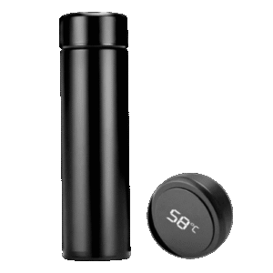 Temperature Water Bottle