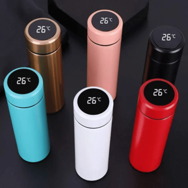 Temperature Water Bottle - Image 2