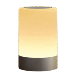 Decorative Table Lamp